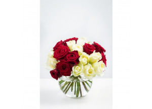 Baltų ir raudonų rožių puokštė